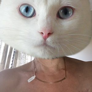 NWT-Handmade by Tiffany Kunz Designs Bronze Bar 16” Necklace w/ “T” Clasp